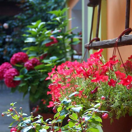 Guest Accommodation Etno Konak Tasana Ni المظهر الخارجي الصورة