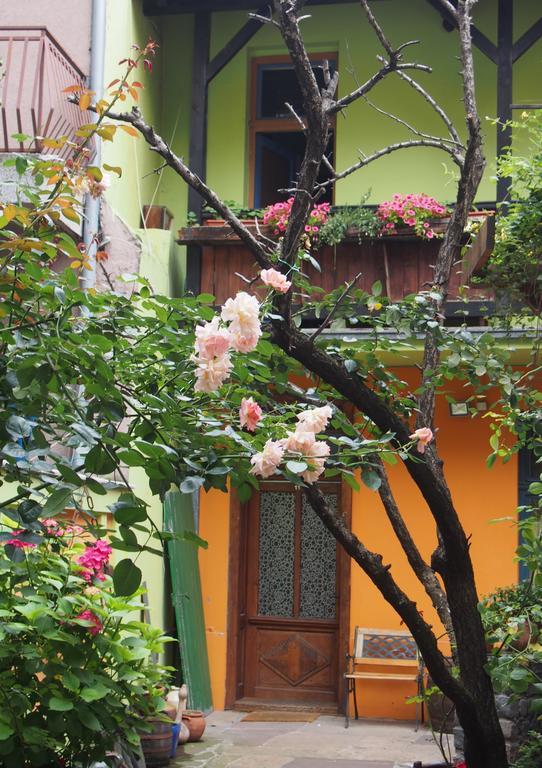 Guest Accommodation Etno Konak Tasana Ni المظهر الخارجي الصورة