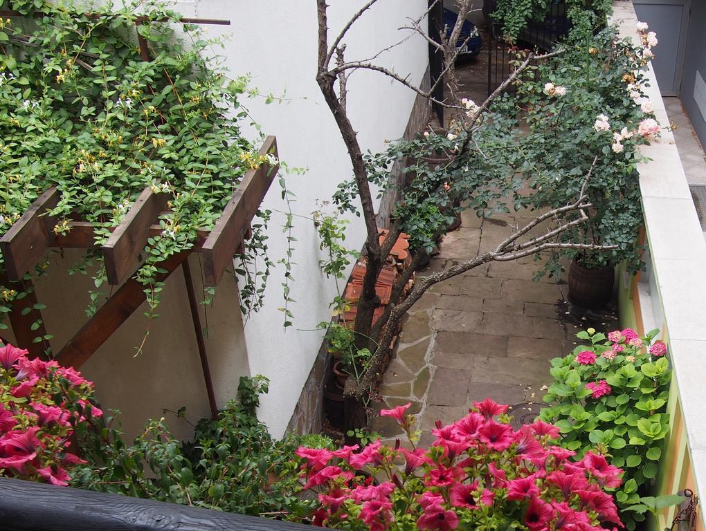 Guest Accommodation Etno Konak Tasana Ni المظهر الخارجي الصورة