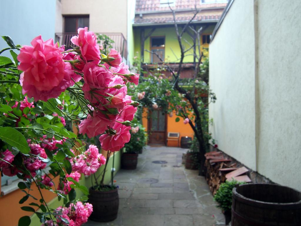 Guest Accommodation Etno Konak Tasana Ni المظهر الخارجي الصورة