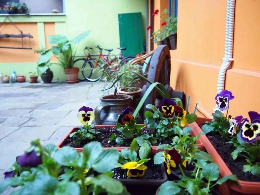 Guest Accommodation Etno Konak Tasana Ni المظهر الخارجي الصورة
